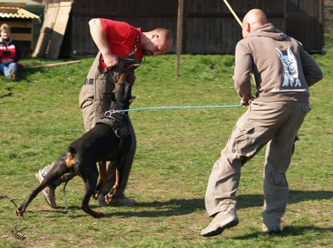 Santa Julf Efrat - training 26. 3. 2007